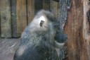 Thumbs/tn_IMG_1235.jpg