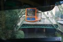 Thumbs/tn_IMG_1258.jpg